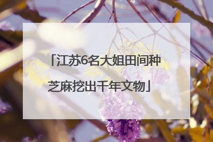 江苏6名大姐田间种芝麻挖出千年文物