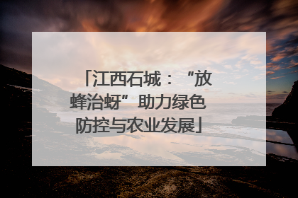 江西石城：“放蜂治蚜”助力绿色防控与农业发展