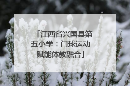 江西省兴国县第五小学：门球运动赋能体教融合
