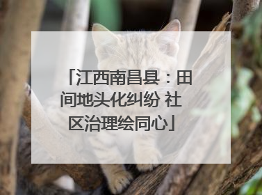 江西南昌县：田间地头化纠纷 社区治理绘同心