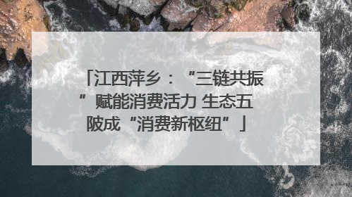 江西萍乡：“三链共振”赋能消费活力 生态五陂成“消费新枢纽”