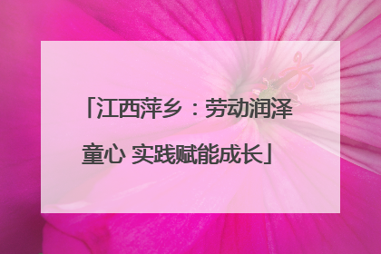 江西萍乡：劳动润泽童心 实践赋能成长
