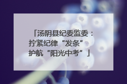 汤阴县纪委监委：拧紧纪律“发条” 护航“阳光中考”