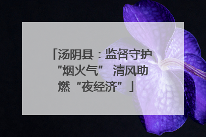 汤阴县：监督守护“烟火气” 清风助燃“夜经济”