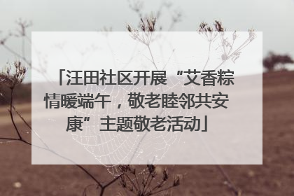 汪田社区开展“艾香粽情暖端午，敬老睦邻共安康”主题敬老活动