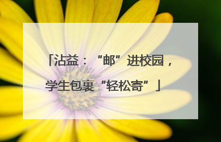 沾益：“邮”进校园，学生包裹“轻松寄”