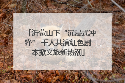 沂蒙山下“沉浸式冲锋” 千人共演红色剧本掀文旅新热潮