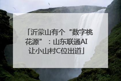 沂蒙山有个“数字桃花源”：山东联通AI让小山村C位出道