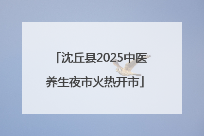 沈丘县2025中医养生夜市火热开市