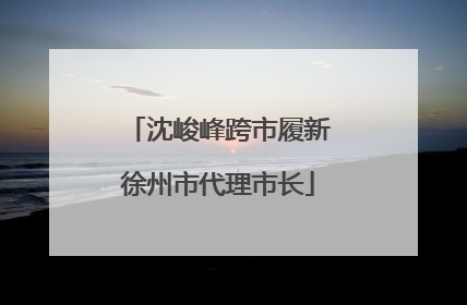 沈峻峰跨市履新徐州市代理市长