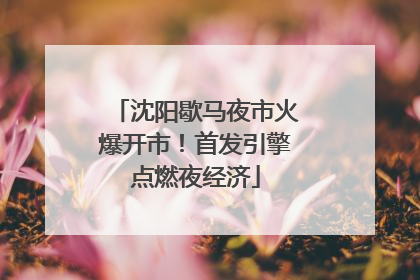沈阳歇马夜市火爆开市！首发引擎点燃夜经济