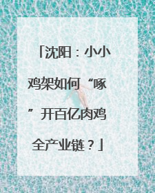 沈阳：小小鸡架如何“啄”开百亿肉鸡全产业链？