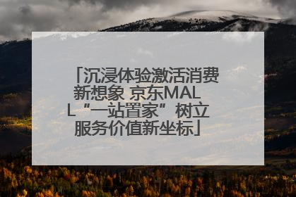 沉浸体验激活消费新想象 京东MALL“一站置家”树立服务价值新坐标