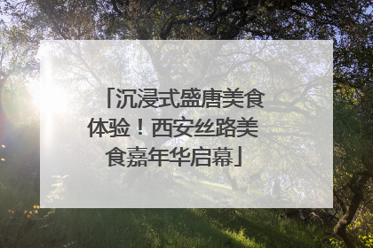 沉浸式盛唐美食体验！西安丝路美食嘉年华启幕