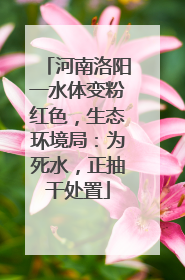 河南洛阳一水体变粉红色，生态环境局：为死水，正抽干处置