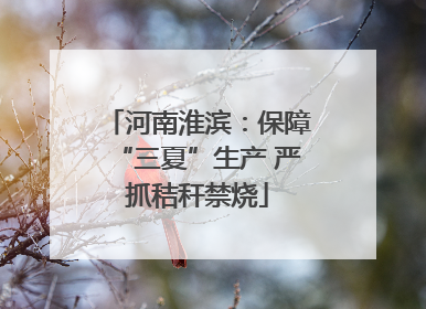河南淮滨：保障“三夏”生产 严抓秸秆禁烧