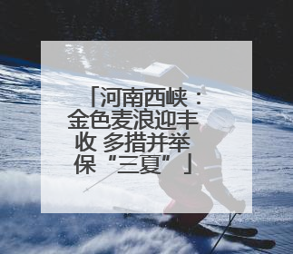 河南西峡：金色麦浪迎丰收 多措并举保“三夏”