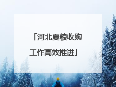 河北夏粮收购工作高效推进