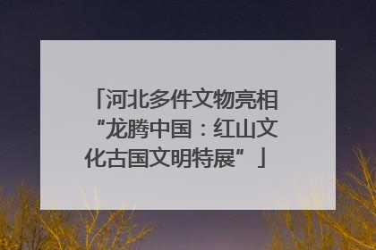 河北多件文物亮相“龙腾中国：红山文化古国文明特展”