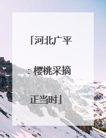 河北广平：樱桃采摘正当时