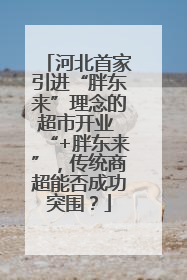 河北首家引进“胖东来”理念的超市开业 “+胖东来”，传统商超能否成功突围？