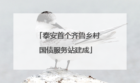 泰安首个齐鲁乡村国债服务站建成