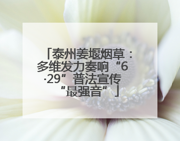 泰州姜堰烟草：多维发力奏响“6·29”普法宣传“最强音”