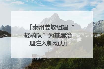 泰州姜堰组建“轻骑队”为基层治理注入新动力