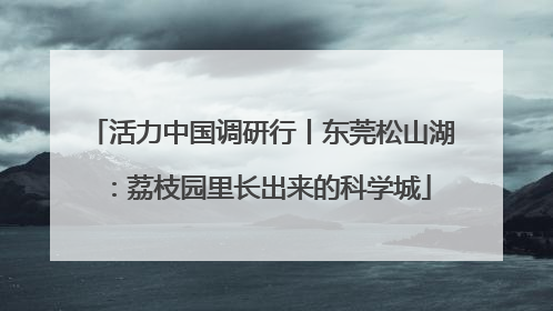 活力中国调研行丨东莞松山湖：荔枝园里长出来的科学城