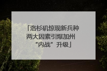 洛杉矶惊现新兵种 两大因素引爆加州“内战”升级