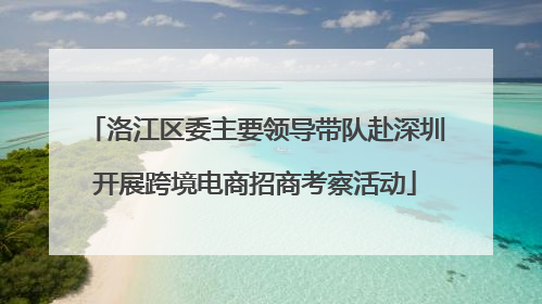 洛江区委主要领导带队赴深圳开展跨境电商招商考察活动