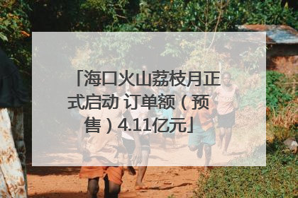海口火山荔枝月正式启动 订单额（预售）4.11亿元