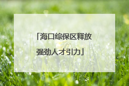 海口综保区释放强劲人才引力