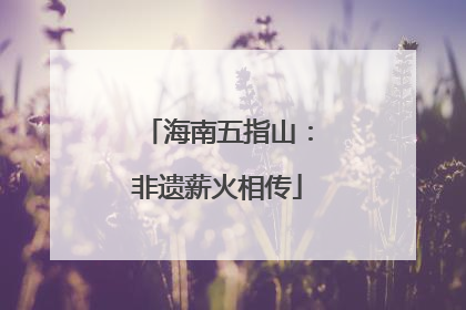 海南五指山：非遗薪火相传