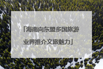 海南向东盟多国旅游业界推介文旅魅力