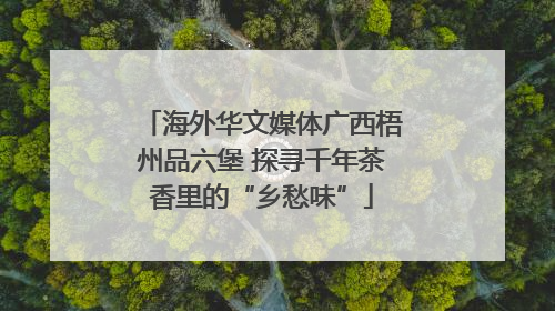 海外华文媒体广西梧州品六堡 探寻千年茶香里的“乡愁味”