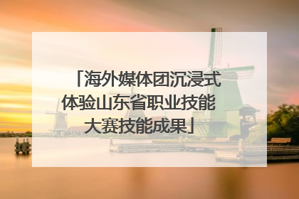 海外媒体团沉浸式体验山东省职业技能大赛技能成果