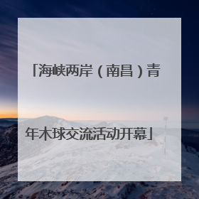海峡两岸（南昌）青年木球交流活动开幕