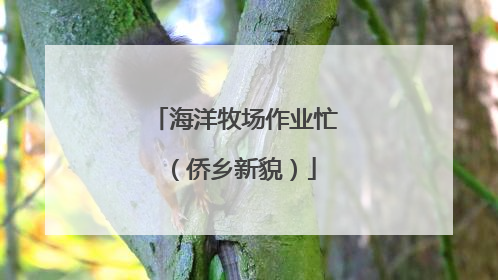 海洋牧场作业忙（侨乡新貌）
