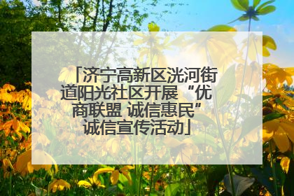 济宁高新区洸河街道阳光社区开展“优商联盟 诚信惠民”诚信宣传活动