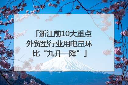 浙江前10大重点外贸型行业用电量环比“九升一降”