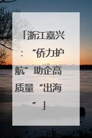 浙江嘉兴：“侨力护航”助企高质量“出海”