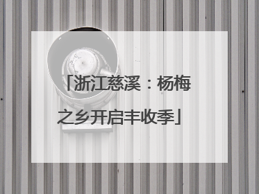 浙江慈溪：杨梅之乡开启丰收季