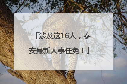 涉及这16人，泰安最新人事任免！