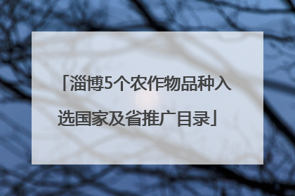 淄博5个农作物品种入选国家及省推广目录