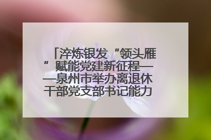 淬炼银发“领头雁”赋能党建新征程——泉州市举办离退休干部党支部书记能力建设专题培训