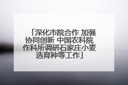 深化市院合作 加强协同创新 中国农科院作科所调研石家庄小麦选育种等工作
