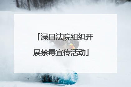 渌口法院组织开展禁毒宣传活动