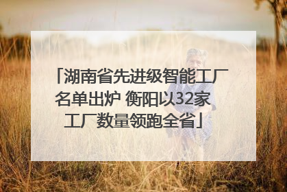 湖南省先进级智能工厂名单出炉 衡阳以32家工厂数量领跑全省