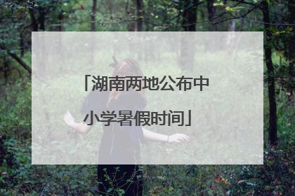 湖南两地公布中小学暑假时间